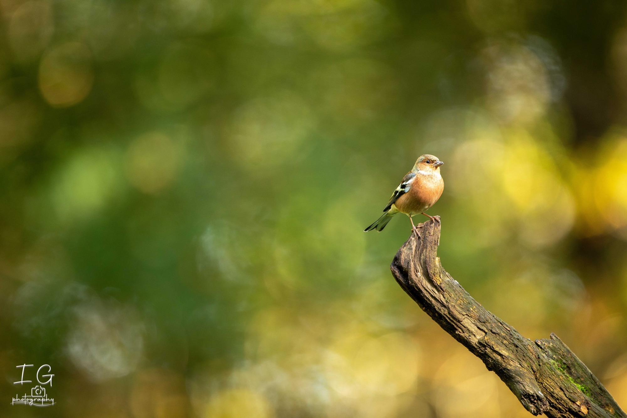 20211015  5D49069 instagram